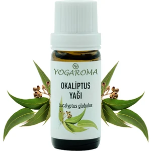 Ferahlatıcı Aromaterapi 10ml Saf ve Doğal Okaliptus Uçucu Yağ