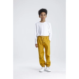 Jogger Pantolon