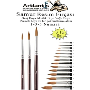Resim Fırçası 1 - 3 - 5 Numara 1 Paket 3 Lü Samur Yuvarlak Uçlu Fırça Seti Guaj Sulu Akrilik Yağlı Boya Fırçaları