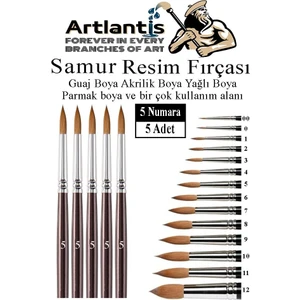 Resim Fırçası 5 Numara 5 Li 1 Paket Samur Yuvarlak Uçlu Fırça Seti Guaj Sulu Akrilik Yağlı Boya Fırçaları