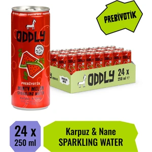 Mınty Melon Karpuz Nane Kutu 250 ml x 24 Adet