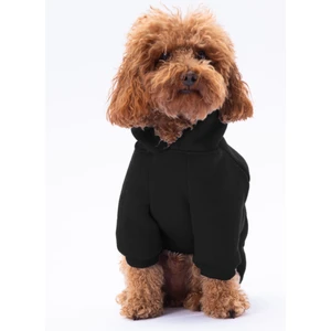Siyah Kanguru Cepli Kedi-Köpek Hoodie- Sweatshirt