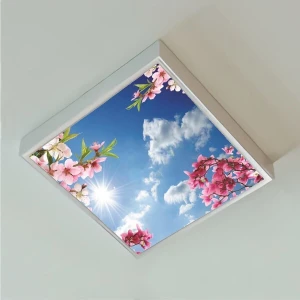 Gökyüzü Panel Ledli Yatak Odası 60WATT AVIZE-60 cm  x 60 cm  - Tavana Yapışık-Kolay Montaj Avize
