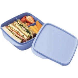 Eco Bölmeli Beslenme Kabı 550 ml Oval Şekil Dayanıklı Plastik Tasarım