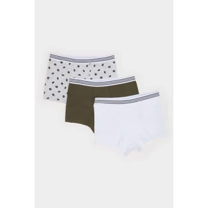 Erkek Çocuk Kaktüs Desenli 3'lü Boxer E6871A825SP