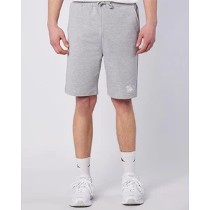 Connel Short Erkek Gri Regular Fit Şort