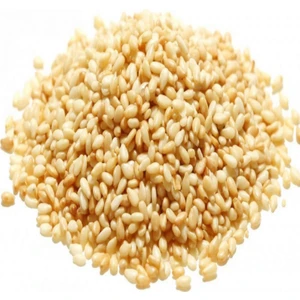 Anamur Naturel Doğal Susam Tohumu (1 Kg)