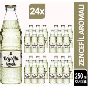 Beyoğlu Gazoz Premium Zencefilli 250 ml Cam Şişe 24'lü