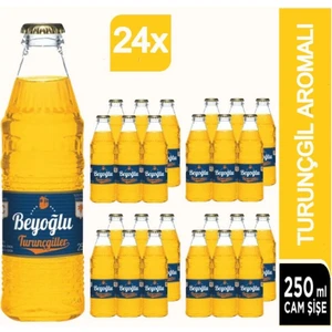 Beyoğlu Gazoz Premium Turuncu 250 ml Cam Şişe 24'lü