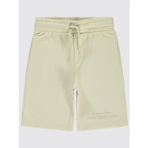 Civil Boys Erkek Çocuk Kapri 6-9 Yaş Fil Dişi