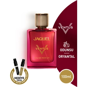 Ventus Erkek Parfümü 100 ml