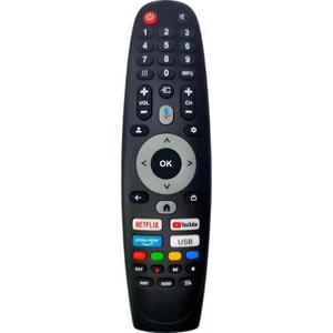 Google Tv Kumanda-Mikrofonlu