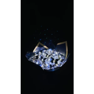 Işıklı Kelebek Buketi