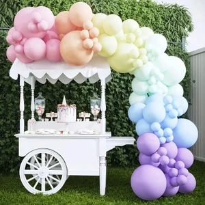 Baloncu Abla 78 Adet Pastel Balon Seti Doğum Günü Konsept