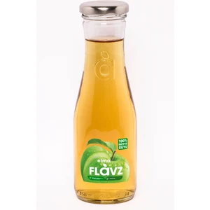 Elma Suyu 250 ml