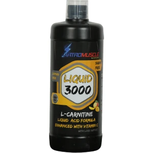 Artro Muscle Artromuscle Nutrition L-Carnitine 3000 Mango Aromalı
