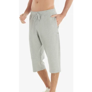 Erkek Kapri 40737 - Gri Melanj