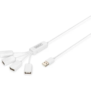 4 Port USB 2.0 Hub, kablo formunda çok kollu, plastik&lt;br&gt;Digitus Slim Spider USB Hub