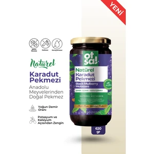 Natürel Karadut Pekmezi 620gr