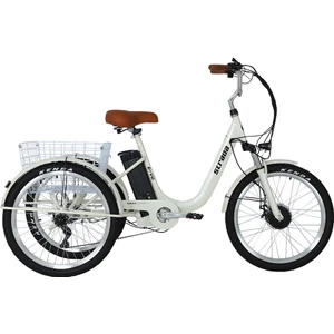 Strada Cycles E-Vo Mekanik Disk 24 Jant Üç Tekerlekli Elektrikli Bisiklet