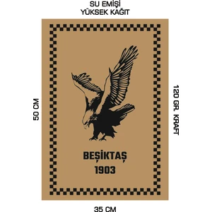 35X50 120 Gr. Kraft Kağıt Oto Paspası 100 Adet