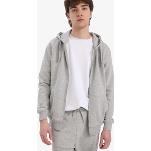 Comfort Fit Kapüşonlu İçi Yumuşak Tüylü Basic Düz Kalın Fermuarlı Sweatshirt D7599AX25SP