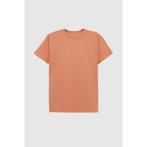 D'S Damat Slim Fit Tarçın Bisiklet Yaka  Pamuklu Nefes Alabilen T-Shirt