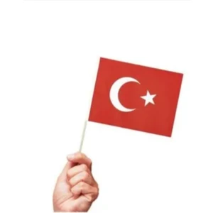 10 Adet Sopalı Kağıt Küçük Türk Bayrağı 19X23CM