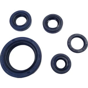 Motospartan Yağ Keçe Seti 5 Li Bajaj Pulsar Ns 200