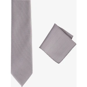 Altınyıldız Classics Kravat-Mendil Set