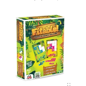 Ceco Toys Fitable Eğitici Eğlenceli Zeka Oyunu