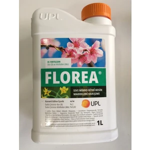 Florea