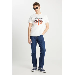 Texas Straight Fit Düz Kesim Normal Bel Pamuklu Esnek Mavi Jean Denim Pantolon