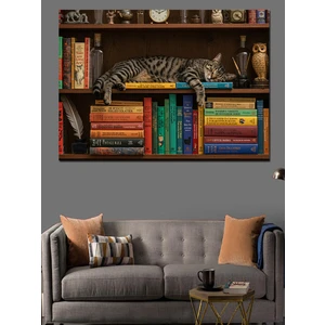 Kitaplık ve Kedi Dekoratif Kanvas - Mdf Ahşap Tablo