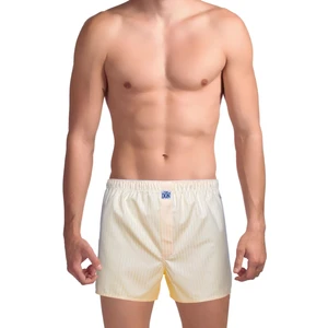 The DON Poplin Erkek Boxer Açık Limon Çizgili