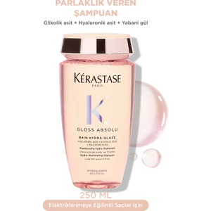 Gloss Absolu Elektriklenmeye Eğilimli Saçlar Için Parlaklık Veren Şampuan 250 ml