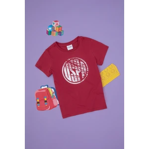 U.S. Polo Assn. Erkek Çocuk Vişne Tişört Basic 50306514-VR223