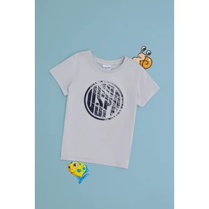U.S. Polo Assn. Erkek Çocuk Açık Gri Tişört Basic 50306514-VR001