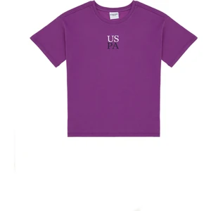 U.S. Polo Assn. Erkek Çocuk Menekşe Tişört Basic 50306498-VR037