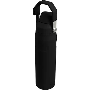 The Aerolight Iceflow Su Matarası Fast Flow 0.6 L Black