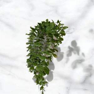 Yapay Çiçek Plastik Saksıda Yeşil Okaliptus Sarkıtı Dere Taşı Detaylı