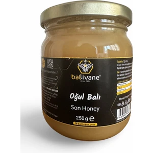 Artvin Yöresi Oğul Balı 250g [YENİ SEZON]