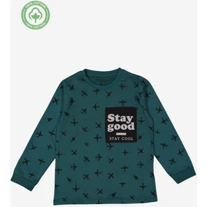 Erkek Çocuk %100 Pamuk Uzun Kollu Tişört - Çocuk Giyim