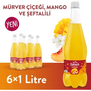 Karma Mango ve Mürver Çiçeği Aromalı Şeftalili Doğal Maden Suyu 1 L X6 Adet