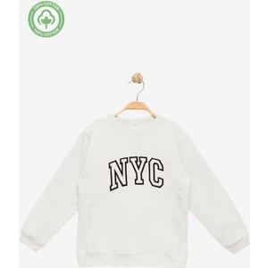 Erkek Çocuk %100 Pamuklu Nakışlı Sweat - Çocuk Giyim