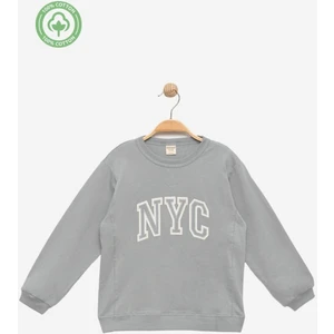 Erkek Çocuk %100 Pamuklu Nakışlı Sweat - Çocuk Giyim