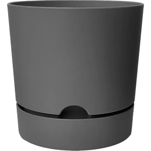 PetGrow Plastik Begonya 12 Saksı