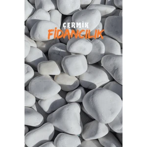 Çermik Fidancılık Beyaz Dolomit Taş 5 kg 4-6 cm Çakıl Taşı Bahçe Peysaj Süs Taşı