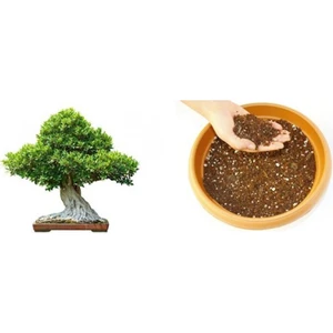 TNC Garden Groups Bonsai Toprağı 30 Lt
