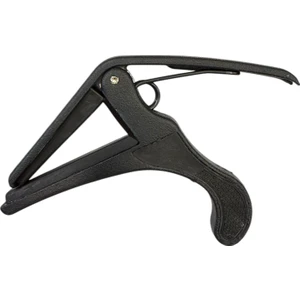 FC100 Enstrüman Kaposu